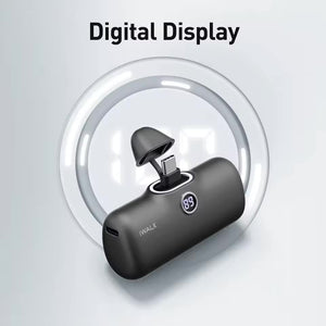 SnapCharge Capsule Powerbank